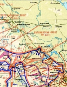 Московская стратегическая наступательная операция