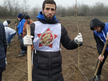 300 деревьев высадили в «Саду памяти» Грозного