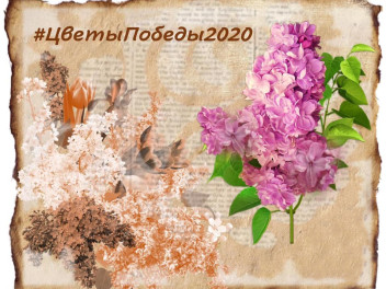 «Цветы Победы» в Московской области
