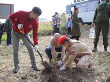 "Сад памяти" украсит Подмосковье