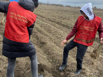 В Чеченской Республике стартовала акция «Сад памяти»