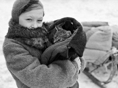 Сегодня - День петербургских котов и кошек, которые помогали пережить блокаду.