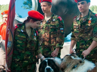 Младшие боевые товарищи