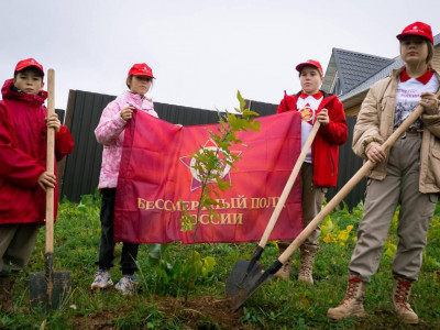 Акция «Посади своё дерево» прошла на улице героя в Дмитрове