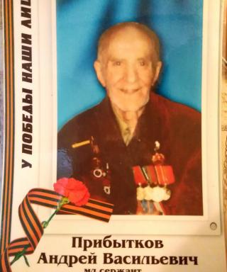 Прибытков Андрей Васильевич