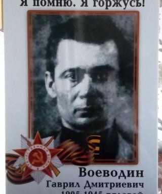Воеводин Гаврил Дмитриевич