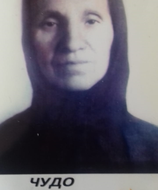Чудо Ирина Егоровна