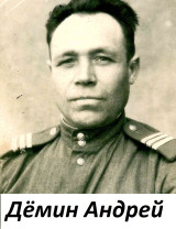 Дёмин Андрей Антонович