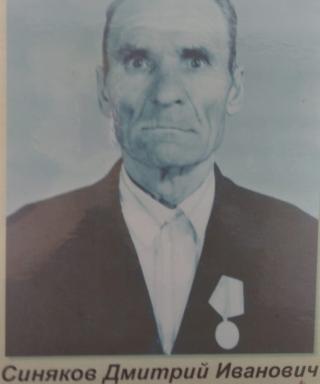 Синяков Дмитрий Иванович