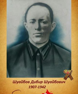 Шуайбов Дибир Шуайбович