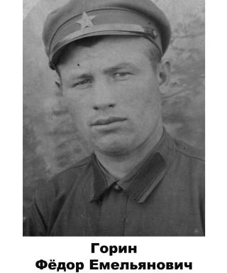 Горин Фёдор Емельянович