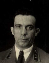 Гинзбург Семен Александрович