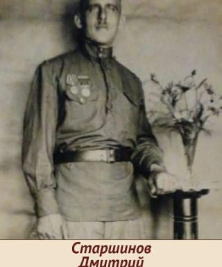Старшинов Дмитрий Сергеевич