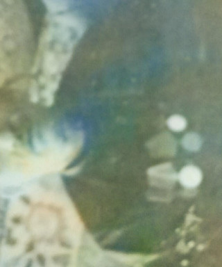 Юхатов Роман Сергеевич