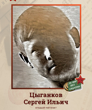 Цыганков Сергей Ильич