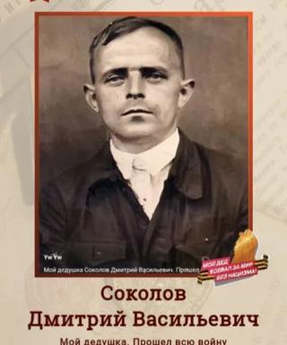 Соколов Дмитрий Васильевич