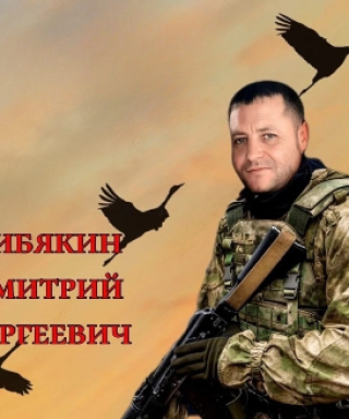 Сибякин Дмитрий Сергеевич