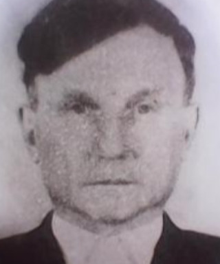 Ладин Владимир Афанасьевич