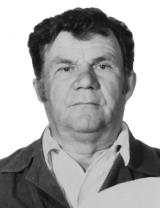 Долбилин Василий Иванович