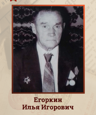 Егоркин Илья Игорович