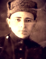 Мустафин Шамиль Мухаметьянович