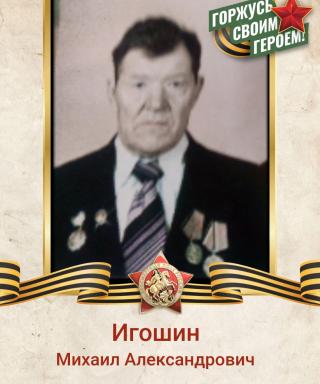 Игошин Михаил Александрович