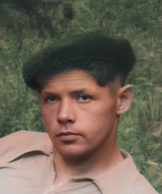 Шемякин Владимир Павлович