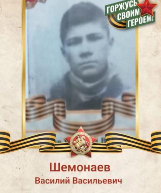 Шемонаев Василий Васильевич
