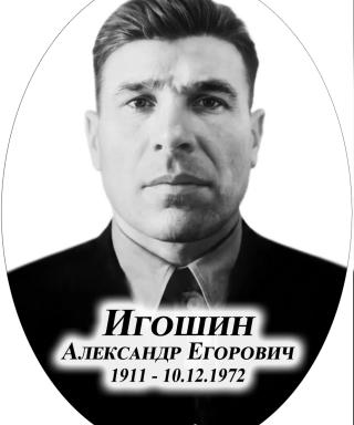 Игошин Александр Егорович