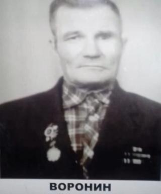 Воронин Николай Николаевич