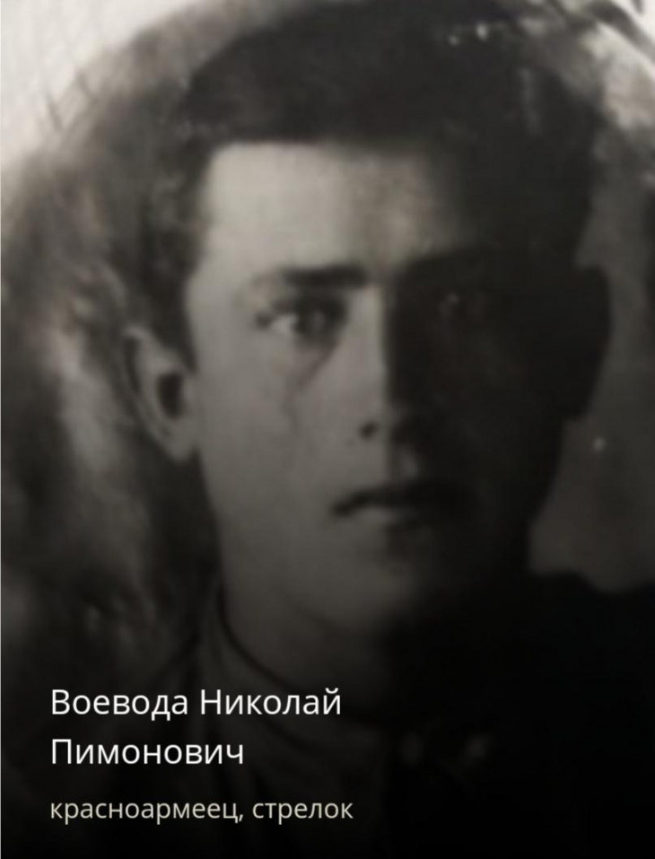 Воевода Николай Пимонович