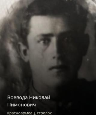 Воевода Николай Пимонович