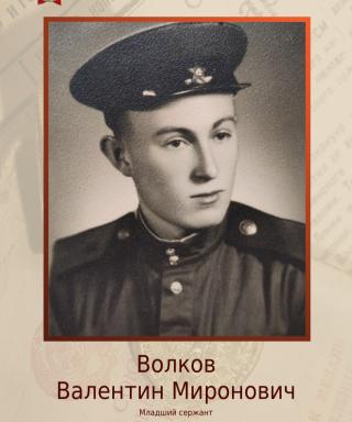 Волков Валентин Миронович