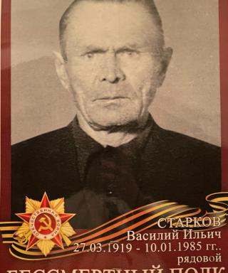 Старков Василий Ильич