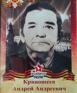 Кривошеев Андрей Андреевич