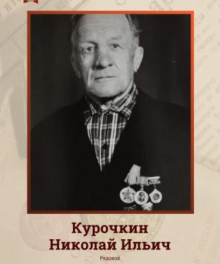 Курочкин Николай Ильич