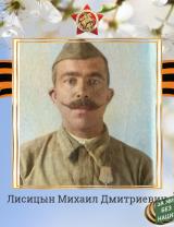 Лисицын Михаил Дмитриевич