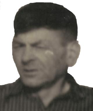 Токарев Михаил (неизвестно)