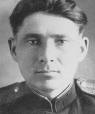 Никитин Николай Петрович