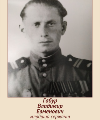 Габур Владимир Евменович