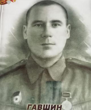 Гавшин Дмитрий Григорьевич