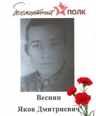 Веснин Яков Дмитриевич