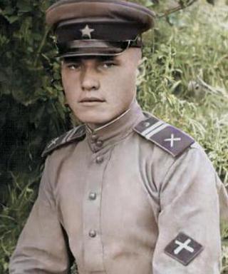 Дикушнёв Анатолий Фёдорович