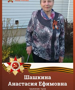 Шашкина Анастасия Ефимовна