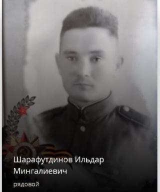 Шарафутдинов Ильдар Мингалиевич