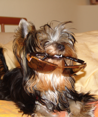 Балашов Алексей Степанович