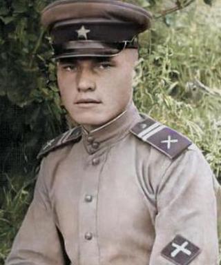 Дикушнёв Анатолий Фёдорович