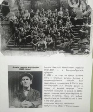 Волков Николай Михайлович