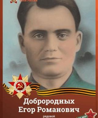 Доброродных Егор Романович