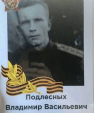 Подлесных Владимир Васильевич
